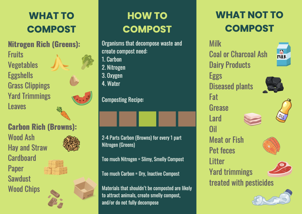 How To Compost. What to compost: Nitrogen rich (greens) inputs such as fruits, vegetables, eggshells, grass clippings, yard trimmings, and leaves. Carbon rich (browns) inputs such as wood ash, hay and straw, cardboard, paper, sawdust, and woodchips. How to compost: Organisms that decompose waste and create compost need carbon, nitrogen, oxygen, and water. Composting recipe: 2-4 parts carbon (browns) for every one part nitrogen (greens). Too much nitrogen = slimy, smelly compost. Too much carbon = dry, inactive compost. Materials that shouldn’t be composted are likely to attract animals, create smelly compost, and/or do not fully decompose. What not to compost: milk, coal or charcoal ash, dairy products, eggs, diseased plants, fat, grease, lard, oil, meat or fish, pet feces, litter, and yard trimmings treated with pesticides.